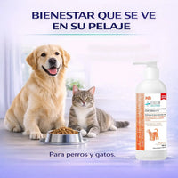 Aceite De Salmón Omega 3 Y 6 Para Perros Y Gatos 490 Ml
