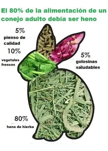 Heno Pasto Timothy Hay Kaytee 680 G 24 Oz Conejo, Chinchilla