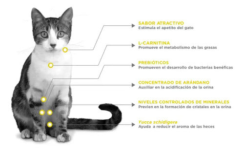 Nupec Felino Urinary Management 1.5 Kg