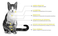 Nupec Felino Urinary Management 1.5 Kg