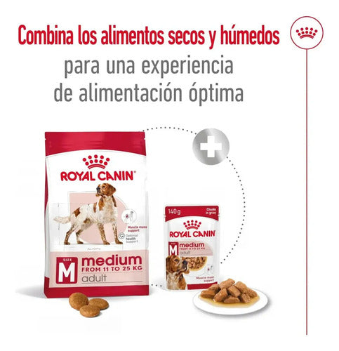 Royal Canin Medium Adult Perro Adulto 1.82 Kg Alimento