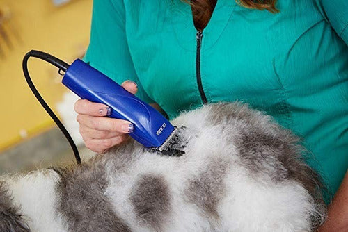Máquina Andis Easyclip Pro Para Estética Canina Perros  Azul