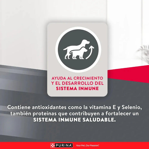 Croquetas Para Perro Cachorro Sabor Pollo Y Arroz 20kg Purina® Excellent®