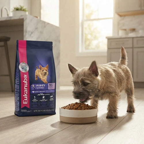 Alimento Eukanuba Puppy Small Breed 2.04 Kg