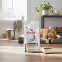 Alimento Royal Canin Gastrointestinal Low Fat Para Perro 3kg