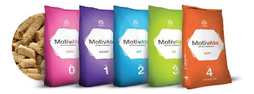 Alimento Motivate Ready Fase 1 Para Cerdos 25 Kg Vimifos