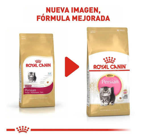 Royal Canin Persian Kitten 1.3kg