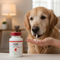 Vetoquinol Azodyl 90 Cápsulas Perro Bien Frio Con Hielera