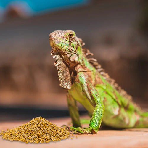 Alimento Iguana Juvenil 700 Grs