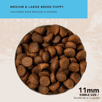 Alimento Back 2 Nature Cachorro Raza Mediana Y Grande 15 Kg
