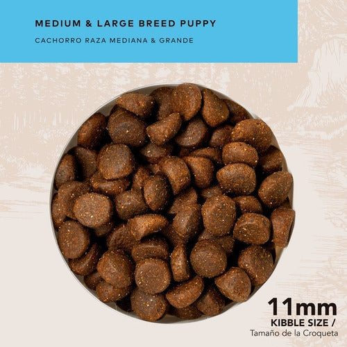 Alimento Back 2 Nature Cachorro Raza Mediana Y Grande 15 Kg