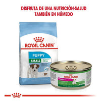 Mini Puppy Royal Canin 5.9 Kg - Alimento Para Cachorro - Nuevo Original Sellado