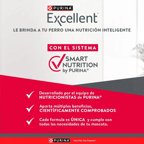 Excellent Adulto Todas Las Razas Cordero Y Arroz De 20 Kg