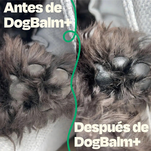 Dogelthy Bálsamo Hidratante Para Perros Patitas Nariz 50g Antirresequedad