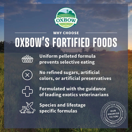 Oxbow Essentials Alimento Conejo Juvenil 2.25 Kg