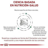 Alimento Royal Canin Veterinary Diet Canine Satiety Support Para Perro Adulto Todos Los Tamaños Sabor Mix En Bolsa De 12kg