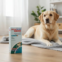 Bravecto 1M Triple para perros de 20 a 40 kg, caja con 1 tableta de 400 mg — foto 3
