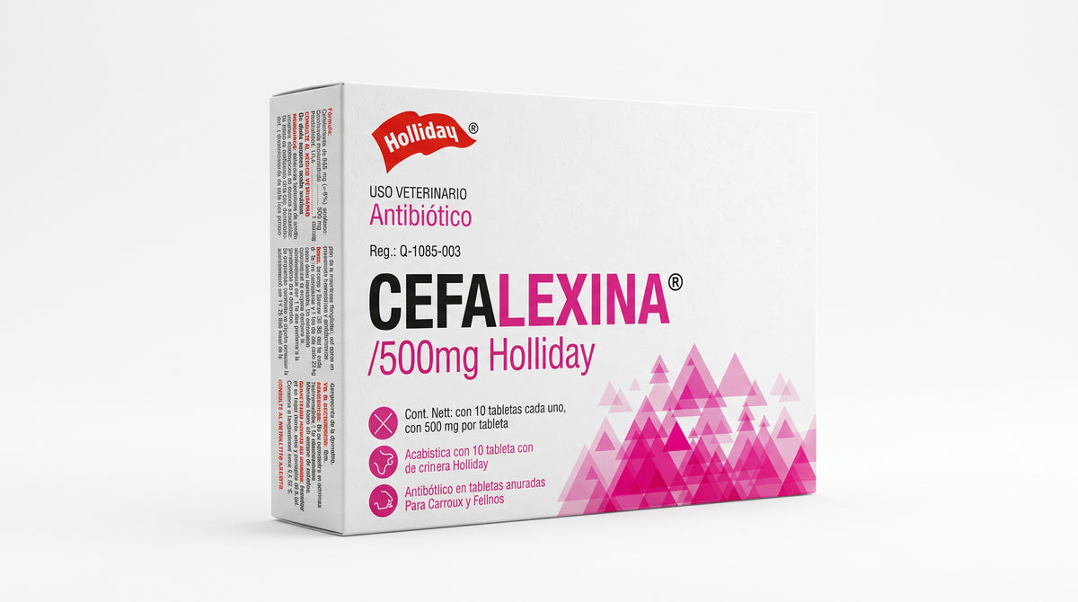 Cefalexina Holliday 500 mg, vista frontal alternativa
