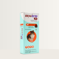 Bravecto 1 Mes Perro 4.5 a 10 kg - 1 tableta — caja completa en estudio neutro, impresión original