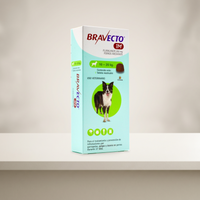 Bravecto 1 Mes Perro 10 a 20 kg - 1 tableta — presentación en ambiente de estudio neutro