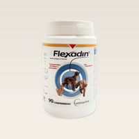 Flexadin Vetoquinol 90 Tabletas para Perros y Gatos — frasco completo en contexto de estudio