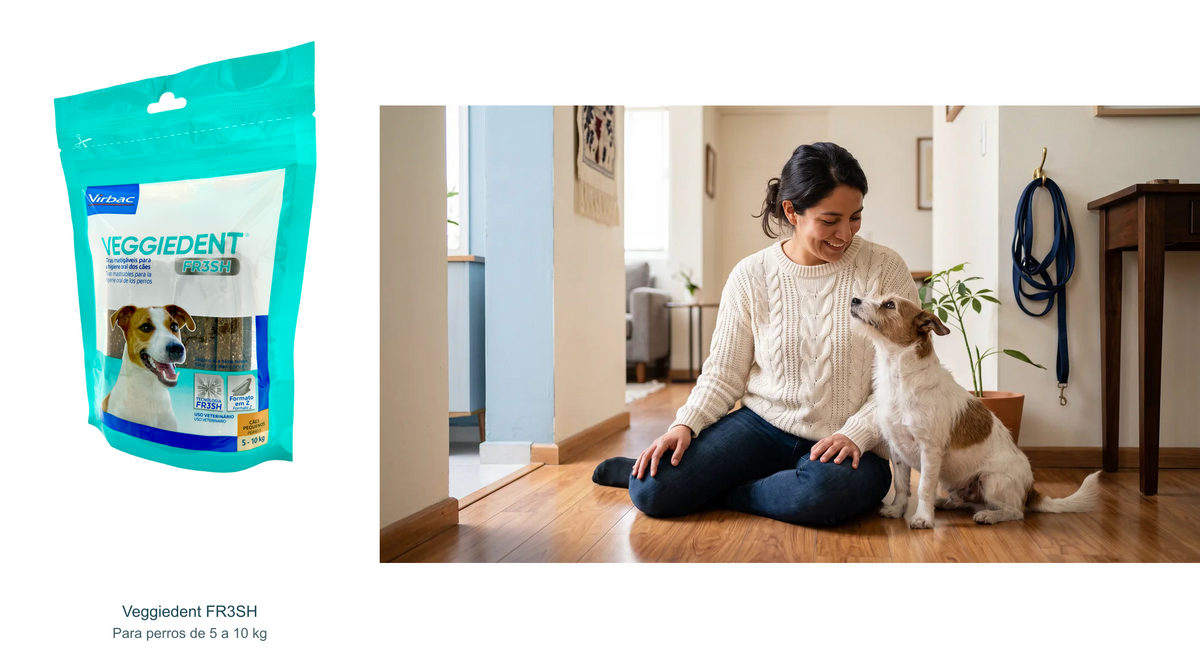 Veggiedent talla S: empaque completo y contexto para perros de 5 a 10 kg