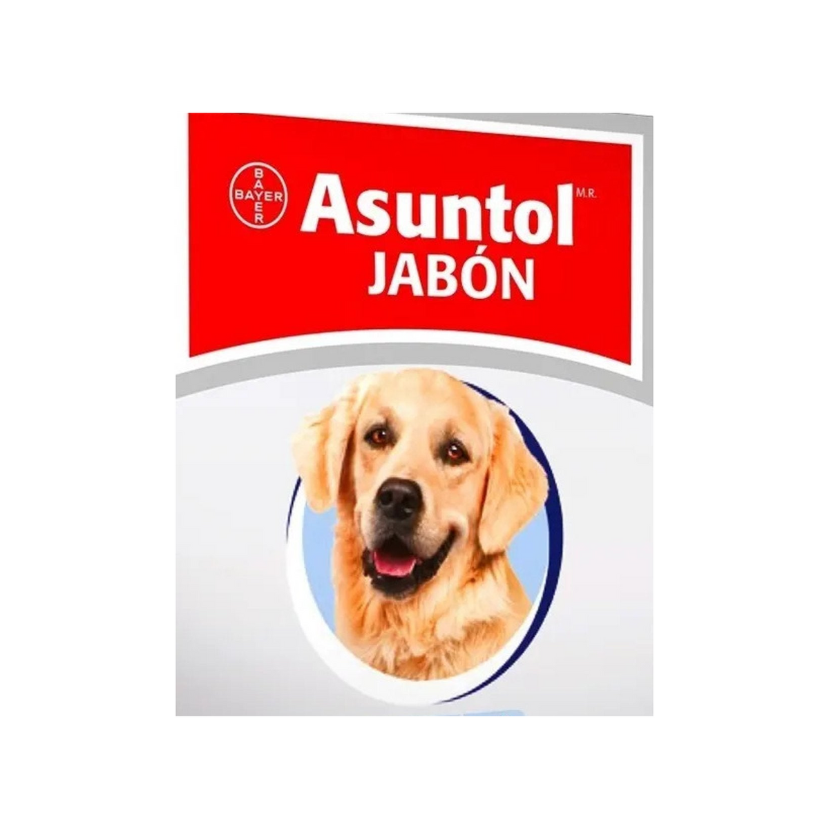 Asuntol Jabon Antipulgas 100 g - paquete 10 piezas — detalle original de una caja representativa; el paquete incluye 10 jabones