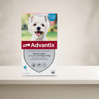 Elanco Advantix Pipeta Perro de 4 a 10 kg, 1.0 ml — referencia auténtica en ambiente neutro