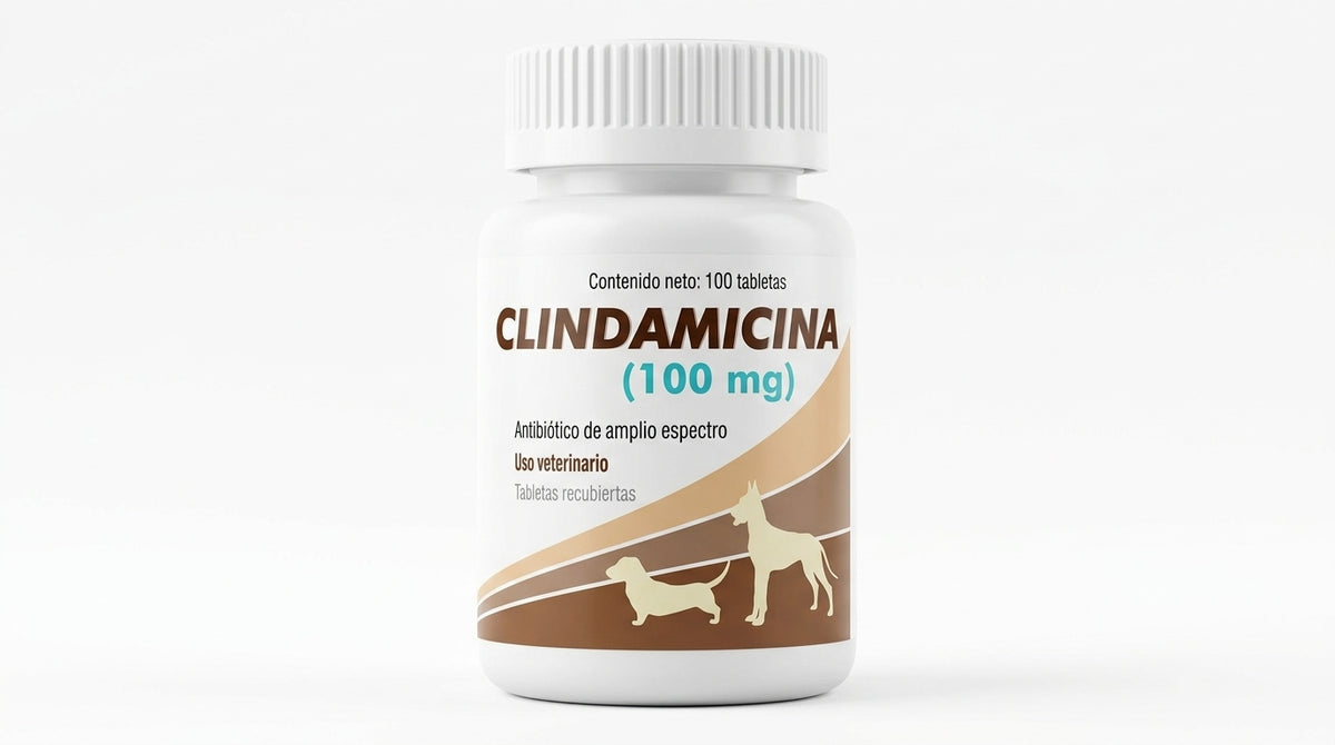 Clindamicina Alpha Chem 100 mg, frasco con 100 tabletas recubiertas — frente