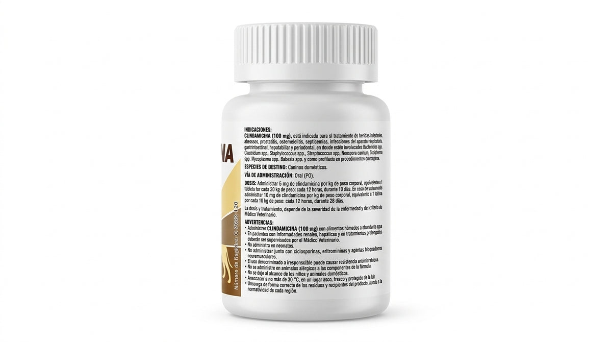 Clindamicina Alpha Chem 100 mg, frasco con 100 tabletas — reverso del empaque