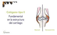 Vista 4 de Flexadin Advanced Vetoquinol 60 Comprimidos para Perro