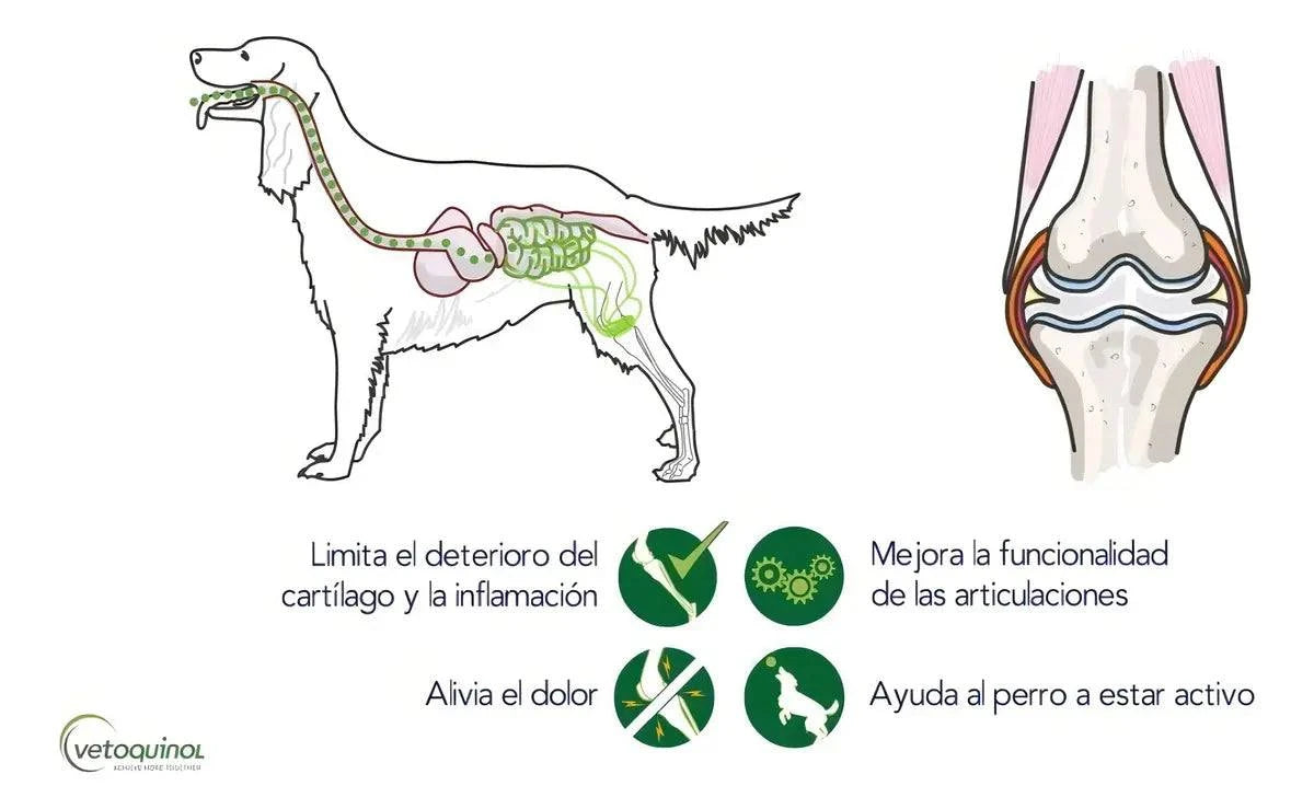 Vista 2 de Flexadin Advanced Vetoquinol 60 Comprimidos para Perro