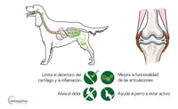 Vista 2 de Flexadin Advanced Vetoquinol 60 Comprimidos para Perro