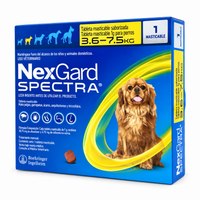 NexGard Spectra amarillo 1 tableta para perros de 3.6 a 7.5 kg