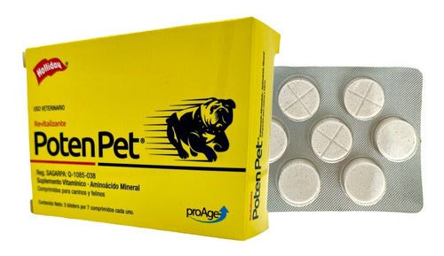 Suplemento Vitaminico Poten Pet Holliday Perros 21 Tabs
