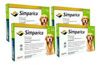 Paquete De 12 Tabletas Antipulgas Perro Simparica 20 A 40 Kg - CLIKEA