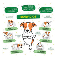 Waggys Wellness Premios Sabor Salmon P/ Perro Grande 30 Pzas