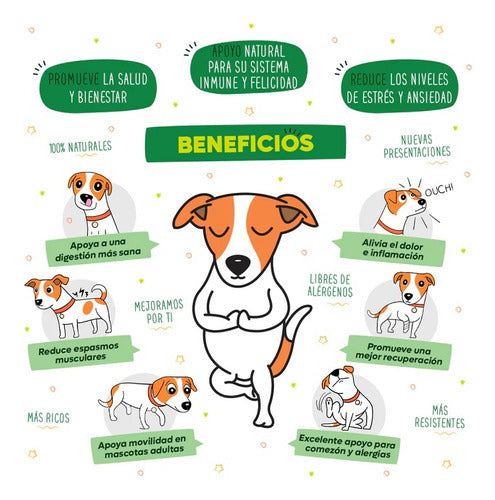 Waggys Wellness Premios Sabor Salmon P/ Perro Grande 30 Pzas
