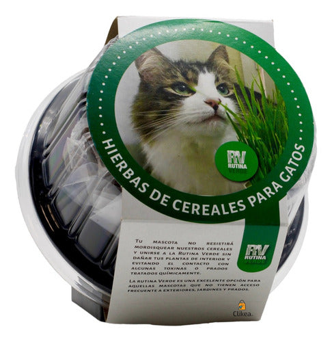 Hierbas De Cereales Para Gato Golden Dog