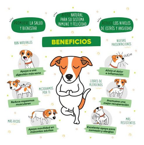 Waggys Wellness Premios Sabor Salmon P/ Perro Grande 30 Pzas