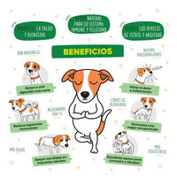 Waggys Wellness Premios Sabor Salmon P/ Perro Grande 30 Pzas