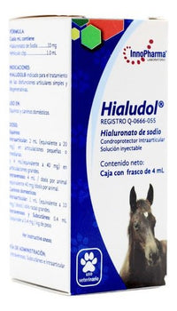 Hialudol Condroprotector Intraarticular 4 Ml Innopharma