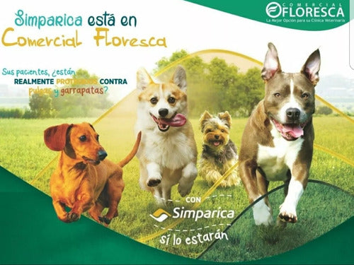 Paquete De 6 Tabletas Antipulgas Perros Simparica 20 A 40 Kg - CLIKEA