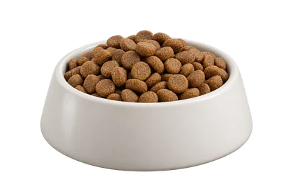Plato de croquetas