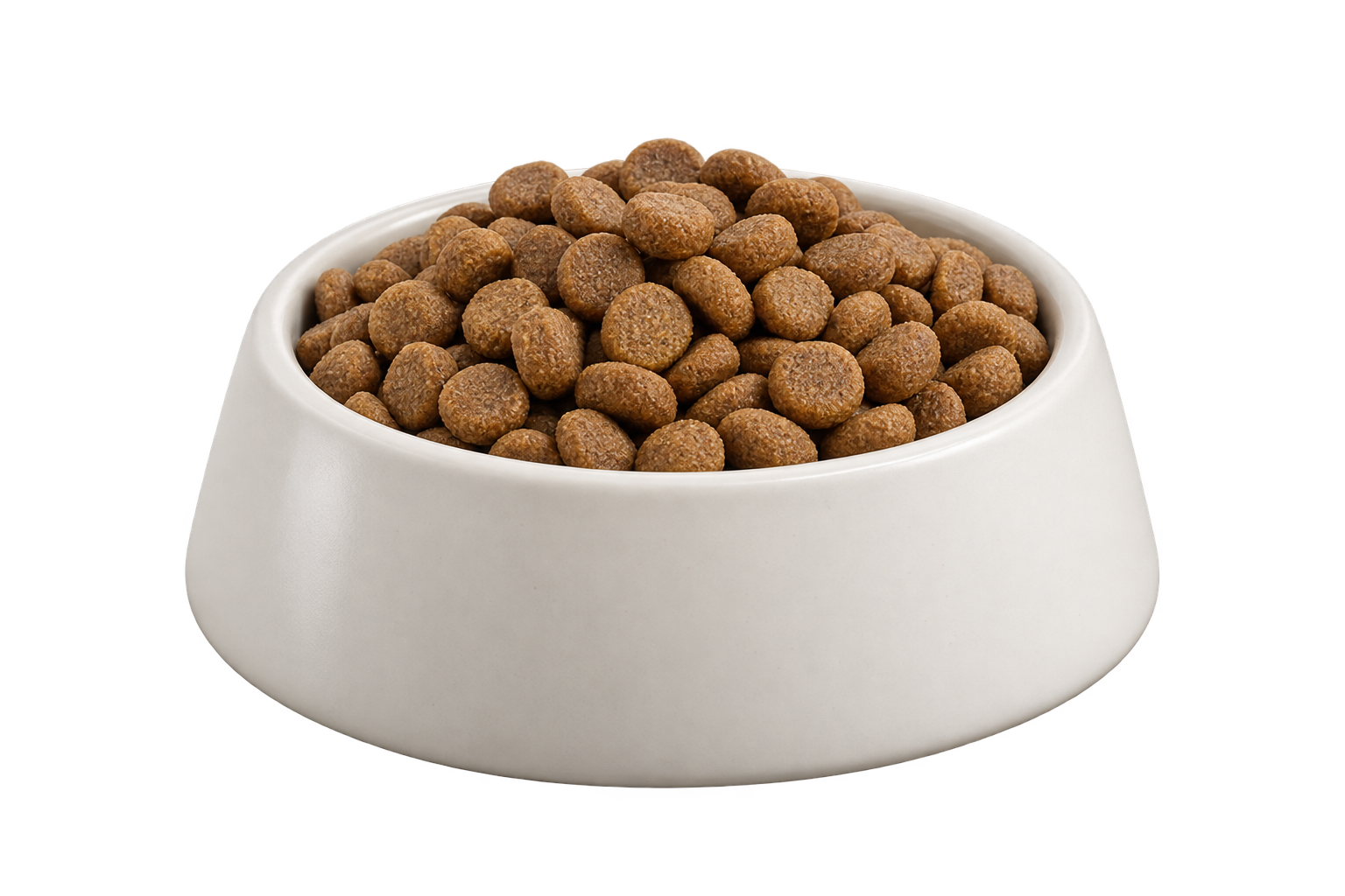 Plato de croquetas